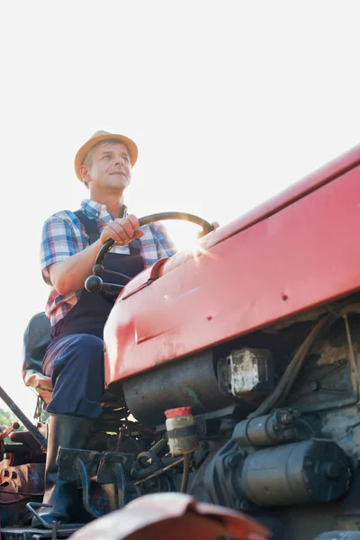 Agricoltore Fiducioso Guida Trattore Azienda — Foto Stock