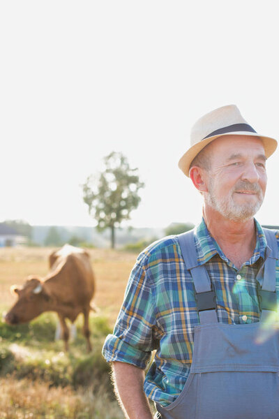 Portrait of senior farmer standing against cow on field at farm