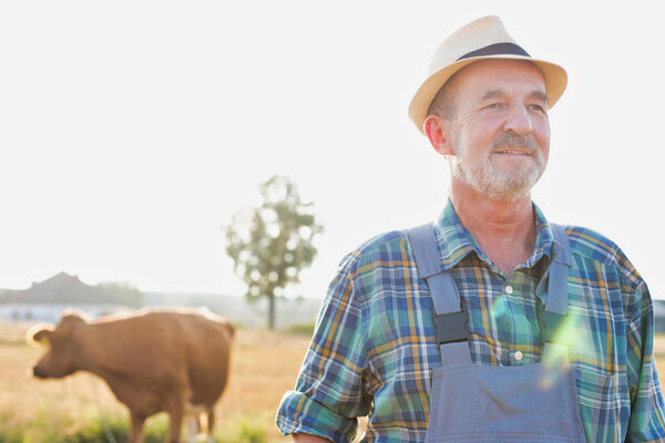 Portrait of senior farmer standing against cow on field at farm