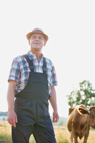 Retrato Del Agricultor Maduro Parado Contra Vaca Campo Granja — Foto de Stock