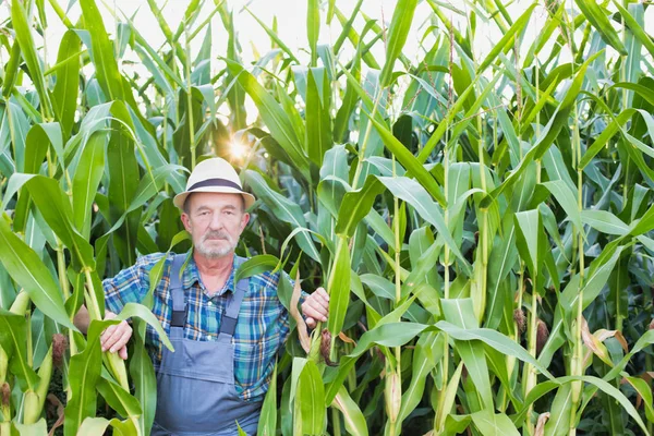 Agricoltore Guardando Fuori Dai Calli Fattoria Contro Cielo — Foto Stock