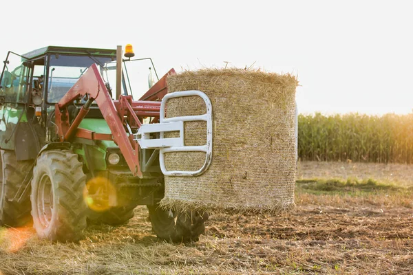 Traktor Kupkou Sena Farmě Dne — Stock fotografie