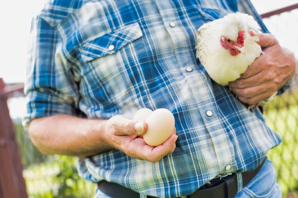 Улыбающийся Фермер Держит Свежие Яйца Курицу Ферме — стоковое фото