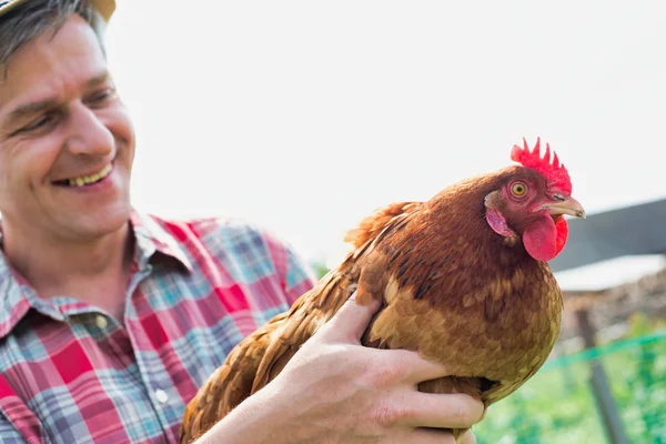 Smiling Farmer Holding Hen Farm — Stock Photo, Image