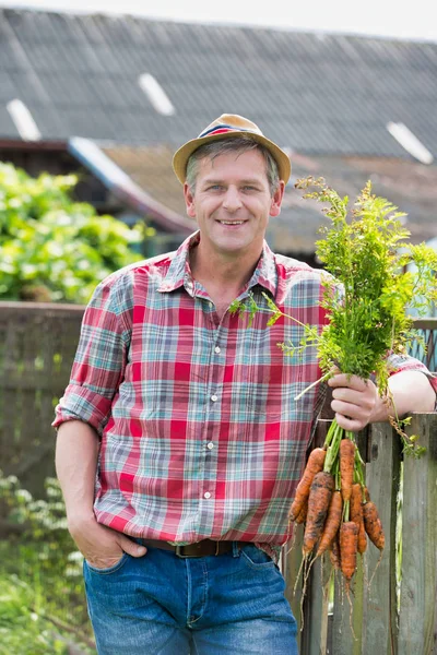 Landwirt Hält Frische Bio Karotten Auf Hof — Stockfoto