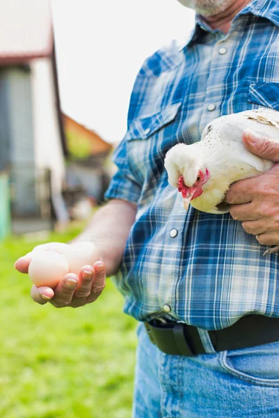 cropped image of farmer holding chicken and fresh eggs at farm