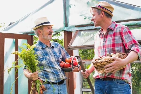 Farmers Carrying Various Vegetables Farm — Stock Photo, Image