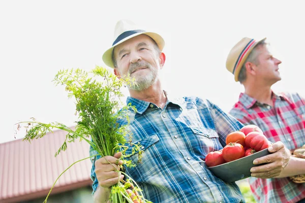 Farmers Carrying Various Vegetables Farm — Stock Photo, Image