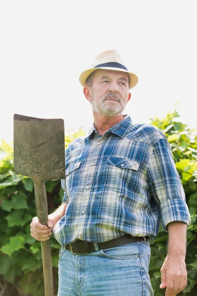 Portrait Senior Farmer Plaid Shirt Holding Shovel Farm Royalty Free Stock Photos