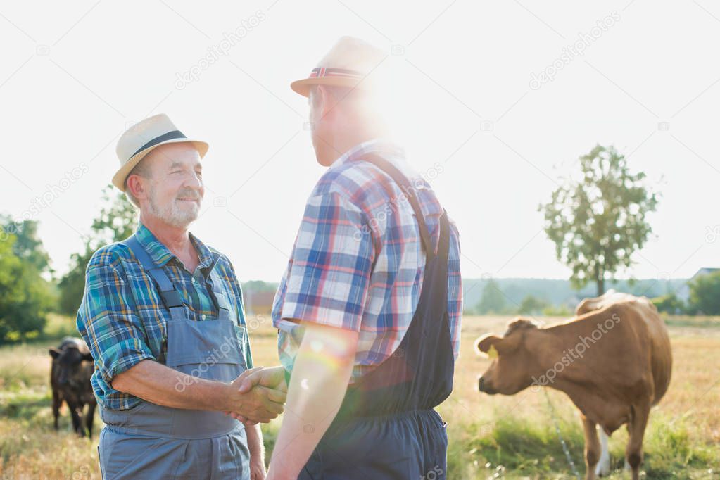 Smiling farmers shaking hands while standing on field at farm