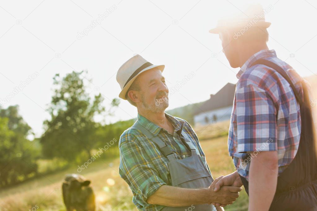 Smiling farmers shaking hands while standing on field at farm