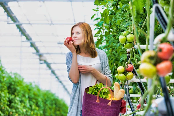 妇女嗅到新鲜的西红柿在温室 — 图库照片