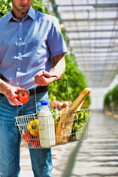 Young Man Basket Buying Tomatoes Greenhouse — Stock Photo, Image