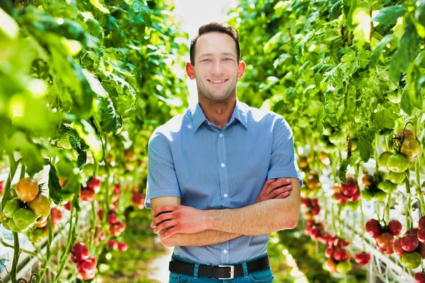 Portrait Confident Supervisor Standing Amidst Plants Crossed Arms Greenhouse — Stok fotoğraf