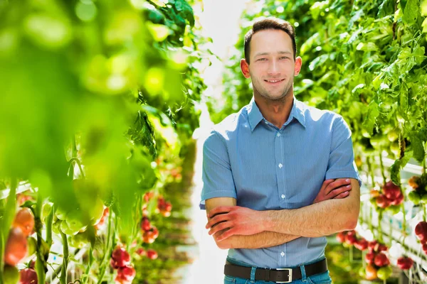 Portrait Confident Supervisor Standing Amidst Plants Crossed Arms Greenhouse — Stock Photo, Image