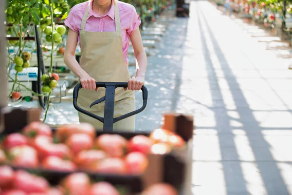 Image Recadrée Une Femme Poussant Des Caisses Tomates Sur Cric — Photo