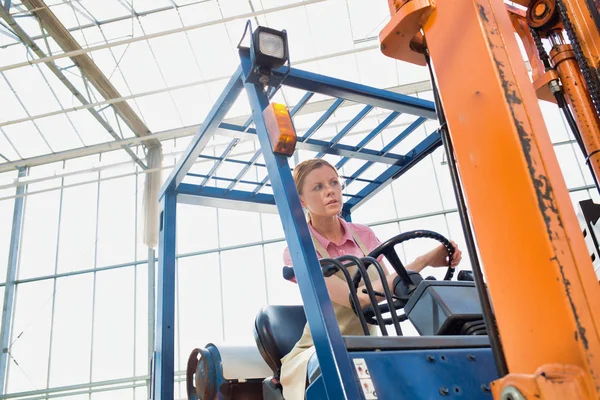 Mujer Segura Sentada Carretilla Elevadora Contra Ventana Almacén Distribución — Foto de Stock