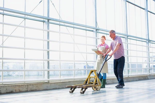 Farmer Pulling Pallet Jack While Discussing Colleague Greenhouse — Stock Photo, Image