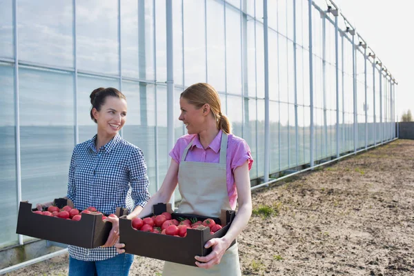 Collega Met Kratten Praten Tijdens Het Lopen Buiten Broeikasgassen — Stockfoto