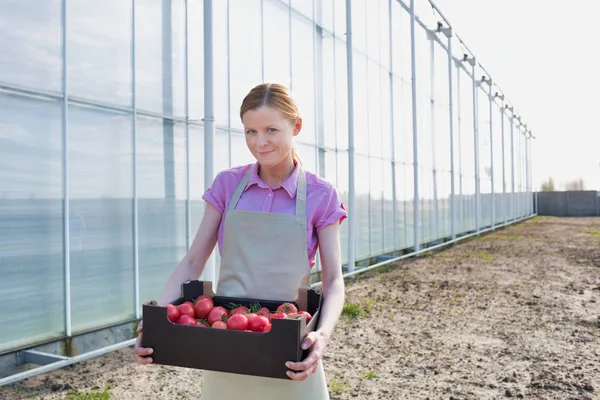 Low Angle View Woman Carrying Crate Greenhouse Sky — Stock Photo, Image