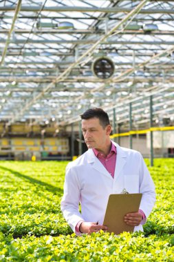 Seradaki otların arasında elinde panoyla duran bilim adamının portresi