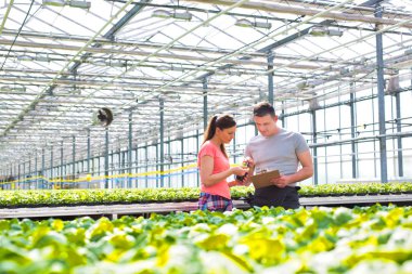 Kendine güvenen erkek ve dişi botanikçiler ot fide bitki Kreş üzerinde tartışıyor