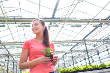 Bitki yetiştirme odasında bitki tohumlarını inceleyen kadın botanikçi.