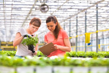 Kadın botanikçiler ot fidan bitki Kreş incelenmesi