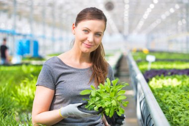 Bitki yetiştirme odasında bitki tohumlarını inceleyen kadın botanikçi.