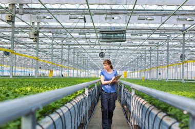 Genç kadın botanikçi Pano bitki Kreş ile ayakta portresi