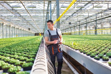 Erkek botanikçi serada yürürken otlar ortasında panosuna yazma