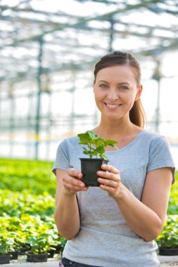 Fide tesisi odasında tutan güzel kadın botanikçi portresi