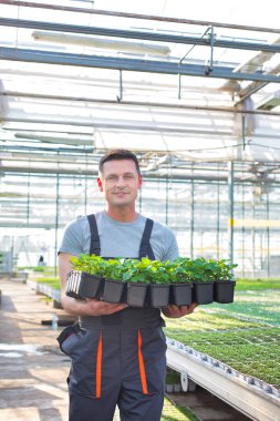 Serada bitki taşıyan yakışıklı erkek botanikçiler