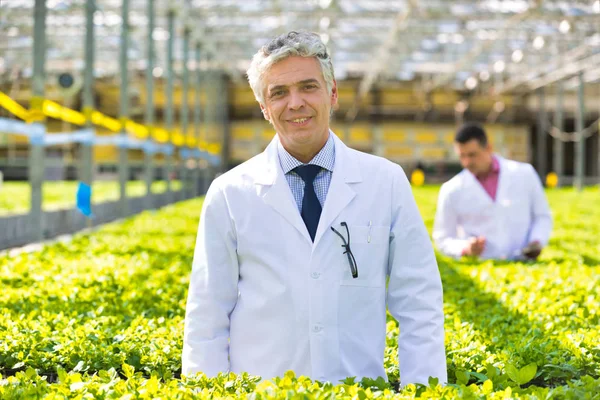 Sorrindo Maduro Botânico Masculino Viveiro Plantas — Fotografia de Stock