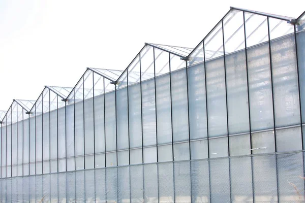 Exterior Greenhouse Daytime — Stock Photo, Image