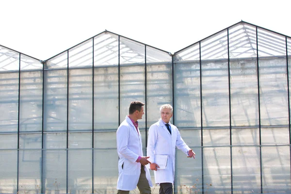 Low Angle View Mature Male Biochemists Discussing While Standing Clear — Stock Photo, Image