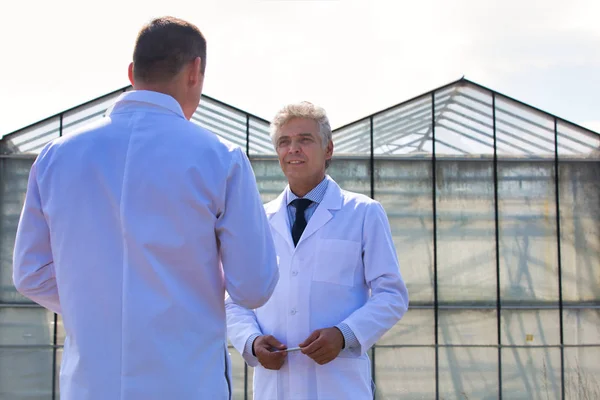 Low Angle View Mature Male Biochemists Discussing While Standing Clear — Stock Photo, Image