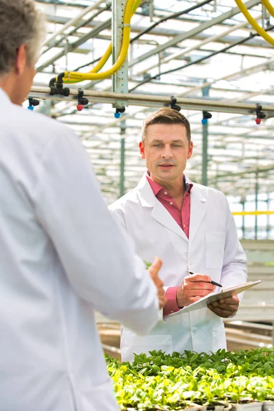 Twee Mannelijke Botanici Onderzoeken Kruiden Tijdens Het Schrijven Klembord Kwekerij — Stockfoto