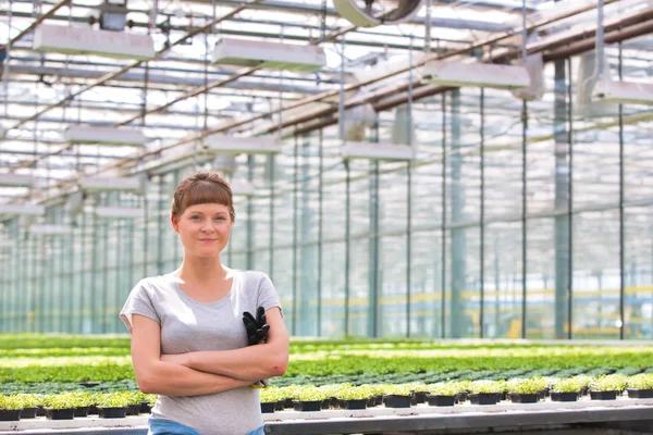 Portrait Confident Young Female Botanist Standing Arms Crossed Herbs Greenhouse — Stock Photo, Image