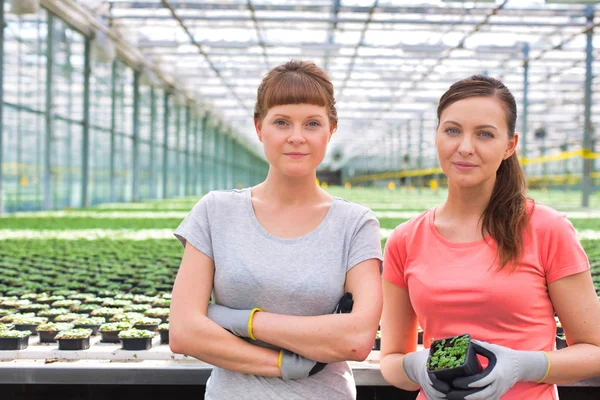 Porträtt Självsäkra Unga Kvinnliga Botaniker Som Står Med Armarna Korsade — Stockfoto