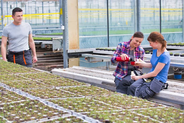 Smiling Male Botanist Looking Female Coworkers Enjoying Coffee Break Greenhouse — Stock Photo, Image