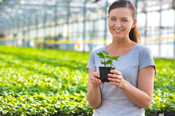 Porträtt Vackra Kvinnliga Botaniker Holding Plantor Plantskola — Stockfoto