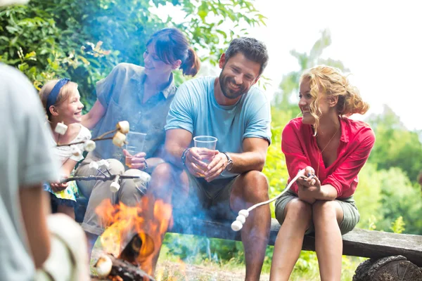 快乐的家庭坐在与女人 而烤棉花糖在燃烧的篝火在公园 — 图库照片