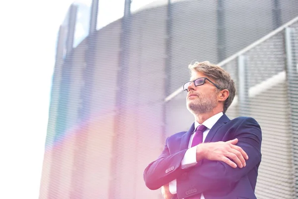 Laag Gezichtspunt Van Zakenman Staan Met Gekruiste Armen — Stockfoto