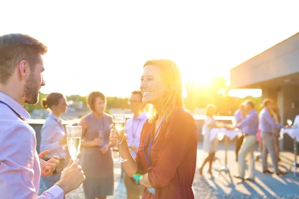 Business People Enjoying Successful Summertime Roof Party Either Business Conference — Stock Photo, Image