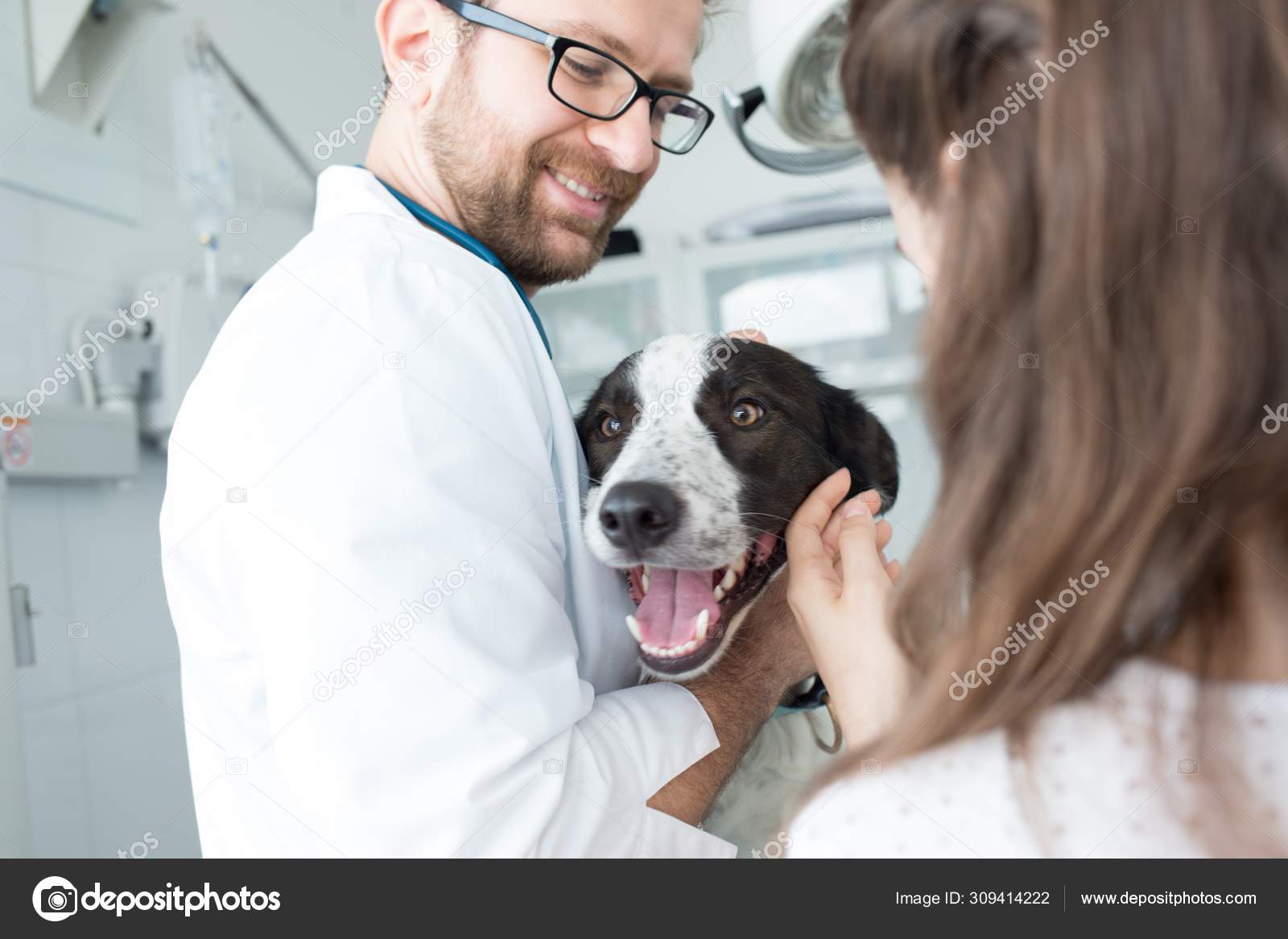 Veterinary and girl stroking dog at clinic Stock Photo by ©londondeposit  309414222