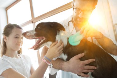 Veteriner kliniğinde muayene edilirken huzursuz melez köpeği rahatlatan gülümseyen kız.