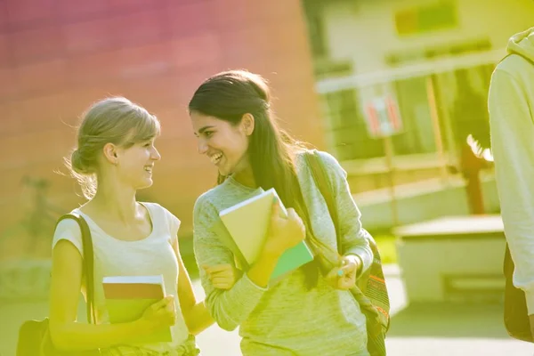 Estudantes sorrindo conversando enquanto caminham no campus na universidade — Fotografia de Stock