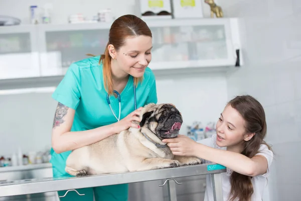 Smiling young veterinary doctor and girl stroking pug at hospita — Stock Fotó