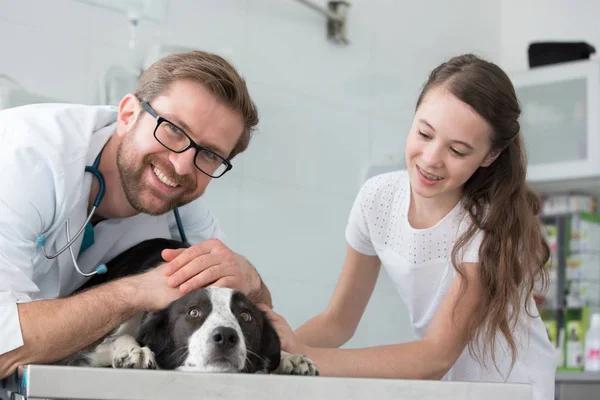 Улыбающийся ветеринар с собакой и девушкой в клинике — стоковое фото